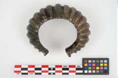 Foto von Bronzemelonenarmreif (NHMW-PRAE-026165)